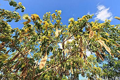 《最终幻想16》原计划2张盘 确认有首日补丁