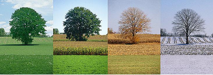 《文明7》全新预告片 Switch版游戏玩法展示