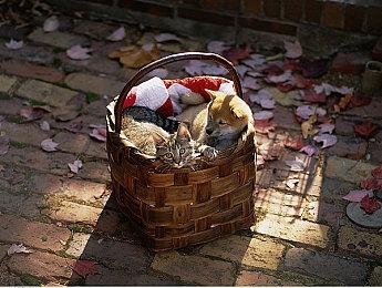 TGA2021“玩家之声”奖开启第二轮投票 十款游戏入围比拼